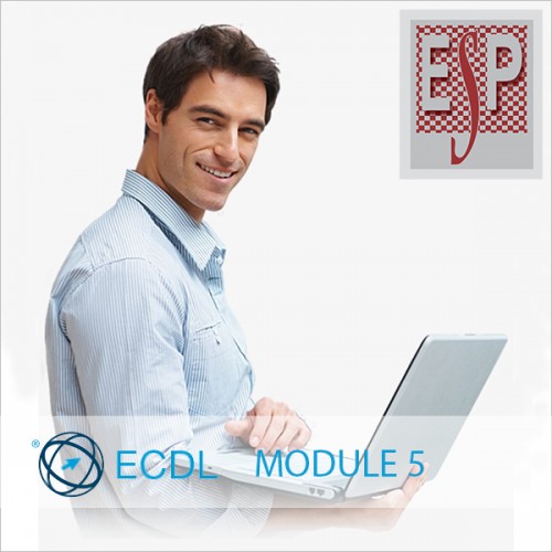 Подготовка за ECDL, Модул 5