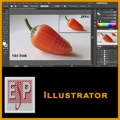 Illustrator