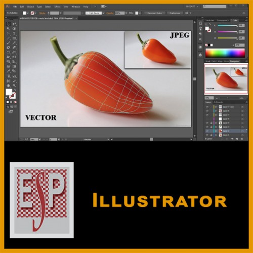 Illustrator